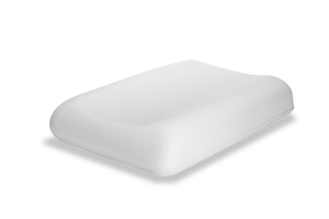 Dentons low 2025 profile pillow